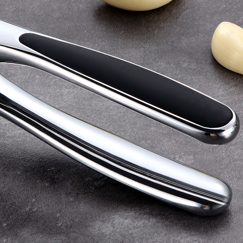 Garlic Press SG-GP-309